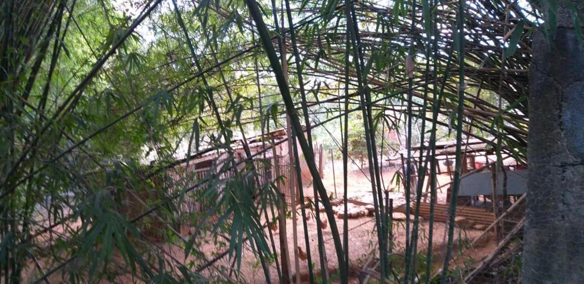 Pousada Sirius São Roque de Minas Dış mekan fotoğraf