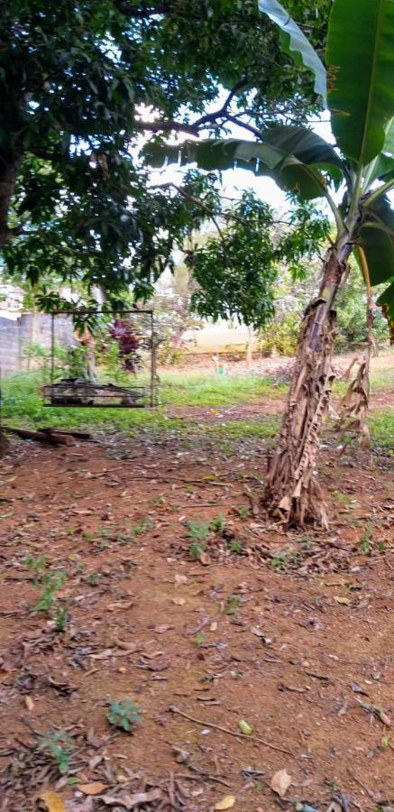 Pousada Sirius São Roque de Minas Dış mekan fotoğraf